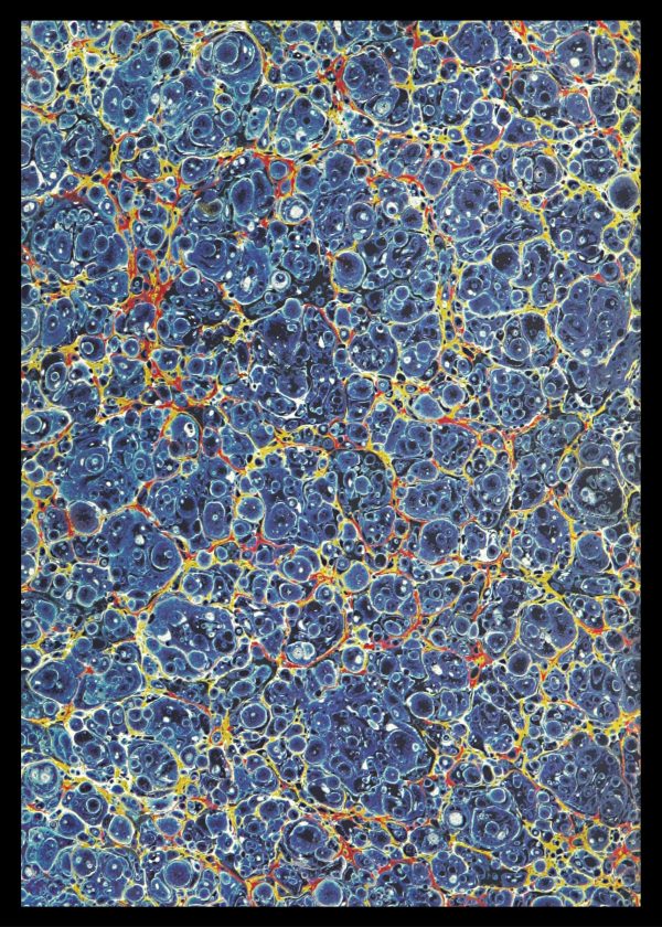 Blue Marbled