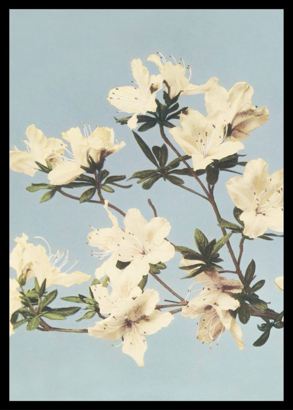 Maximalist Art No. 15