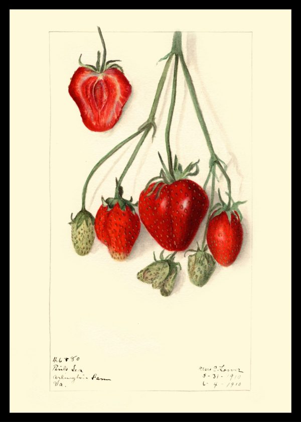 Maximalist Art No. 101