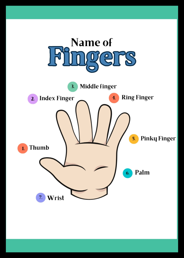 Name of fingers