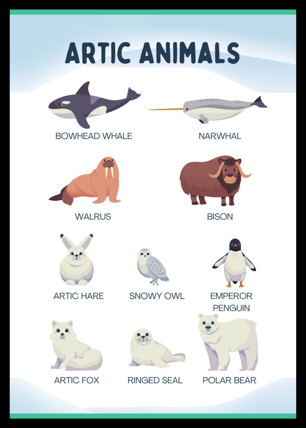 Arctic animals