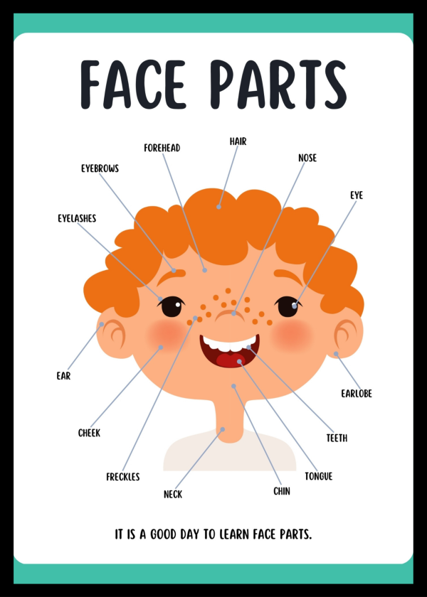 Face parts
