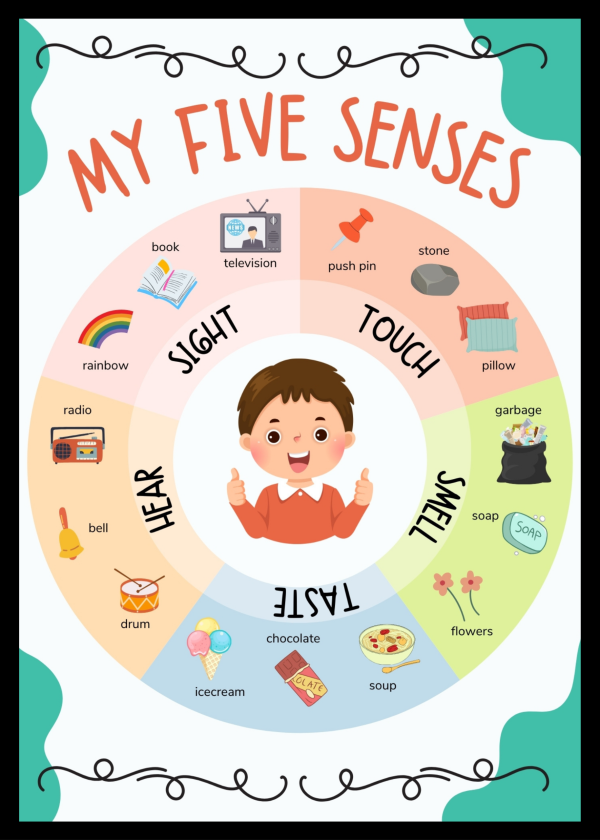 My five senses