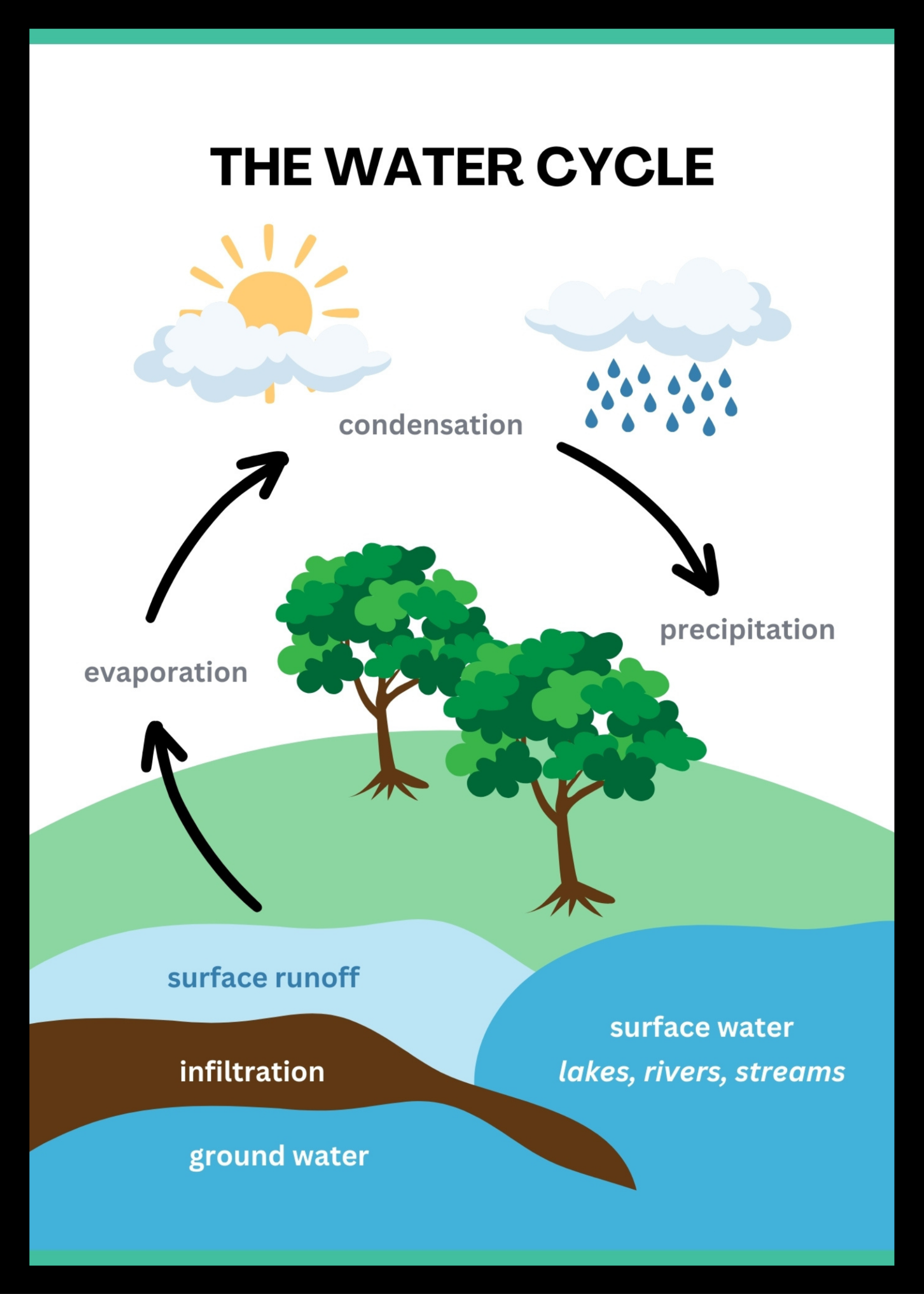 The water cycle