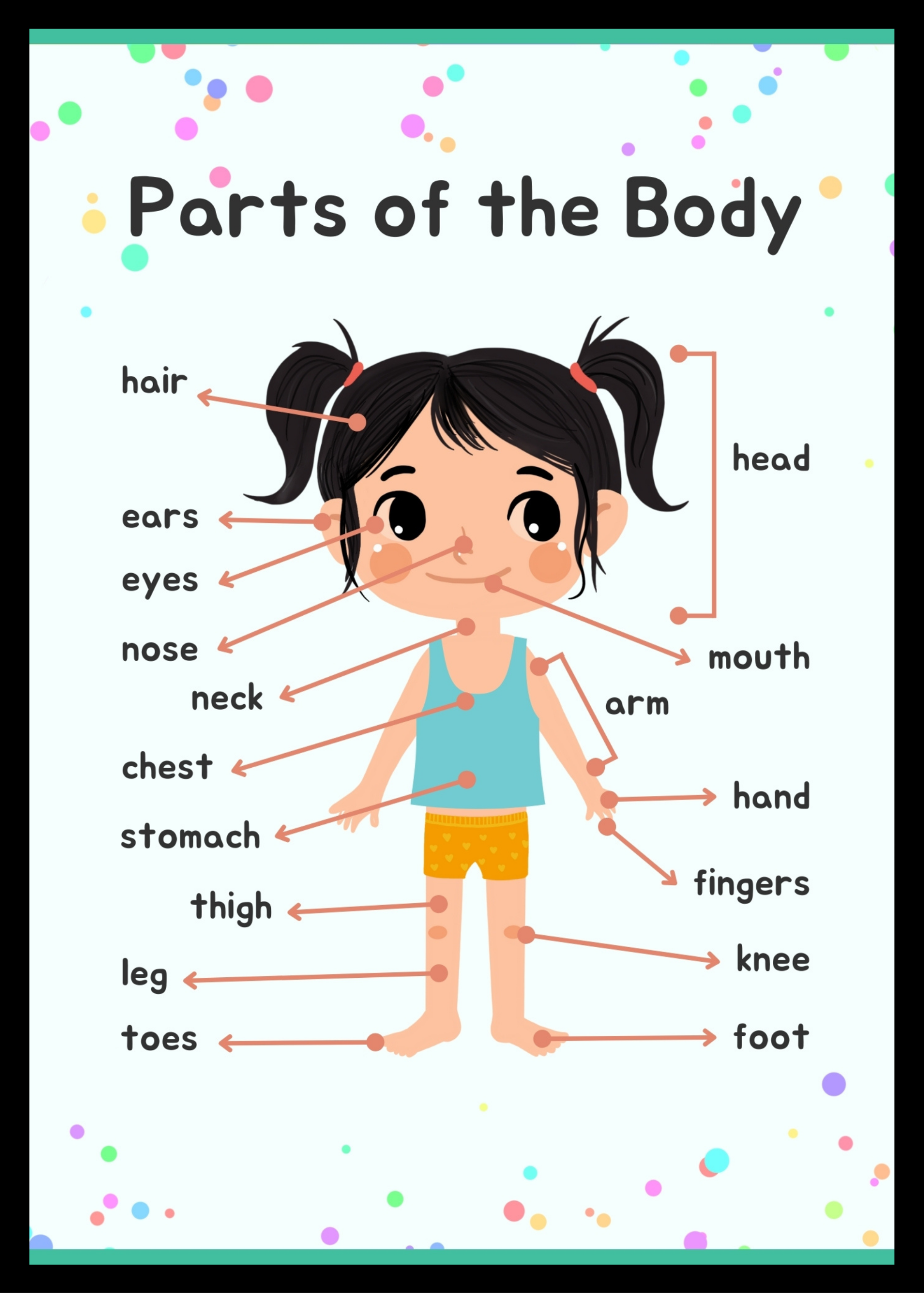 Parts of the body